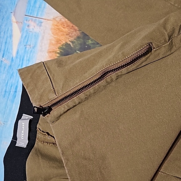 Everlane Tan Pants Size 10 - Picture 4 of 6